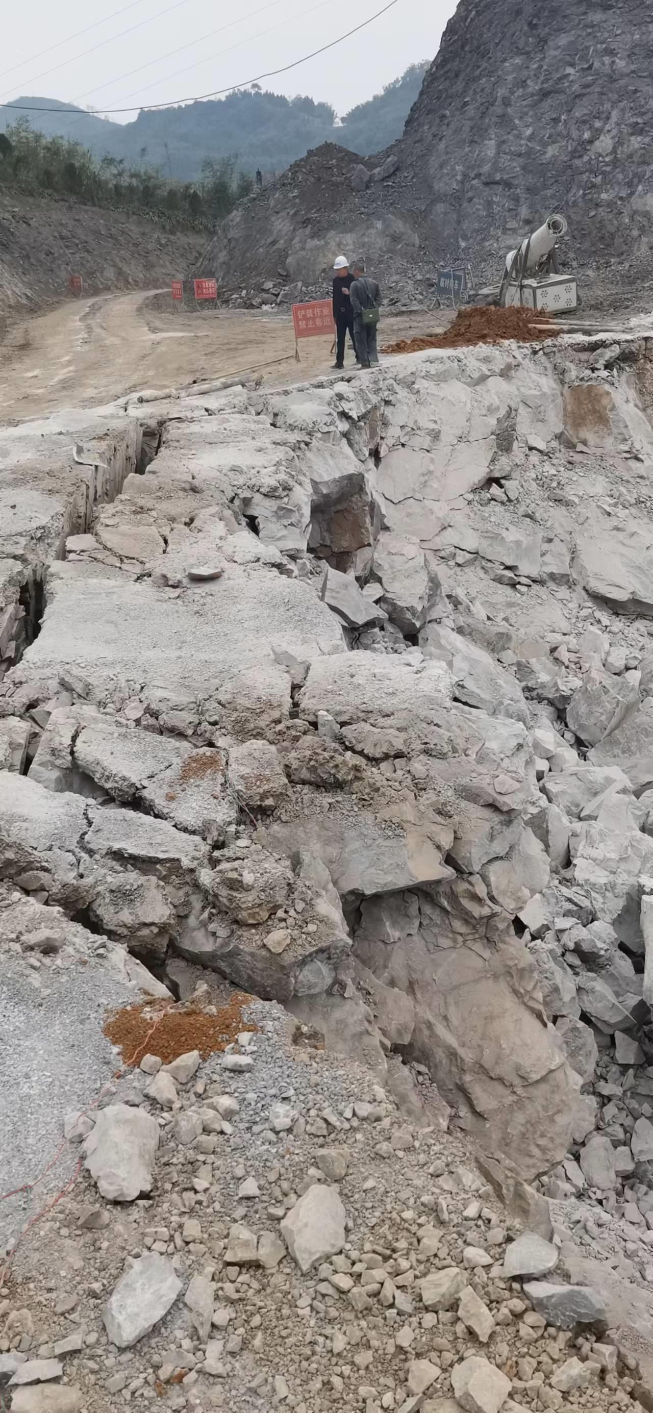 中德鼎立集团